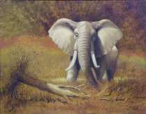 Appraisal: Geraldine Saent-Johns American Ohio th Century Elephant Oil on canvas