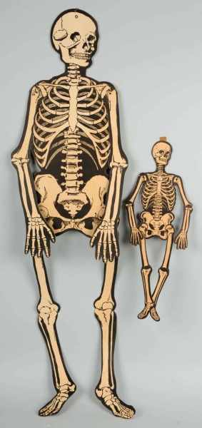 Appraisal: Lot of Halloween Skeleton Decorations Condition Excellent Size Largest T