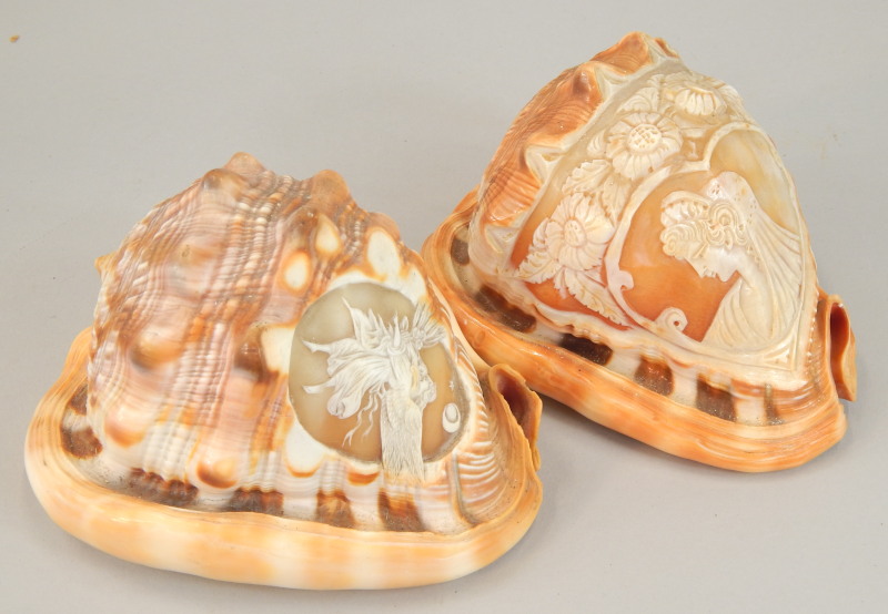 Appraisal: Two thC shells each carved with a cameo depicting an