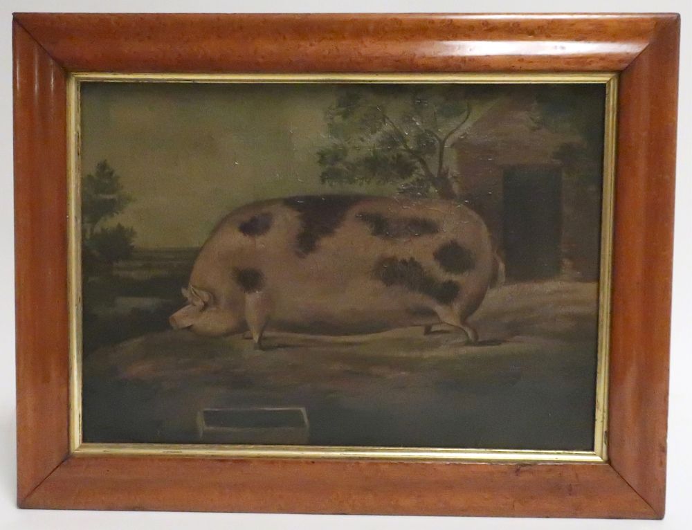 Appraisal: th c British School Portrait of a Pig O C