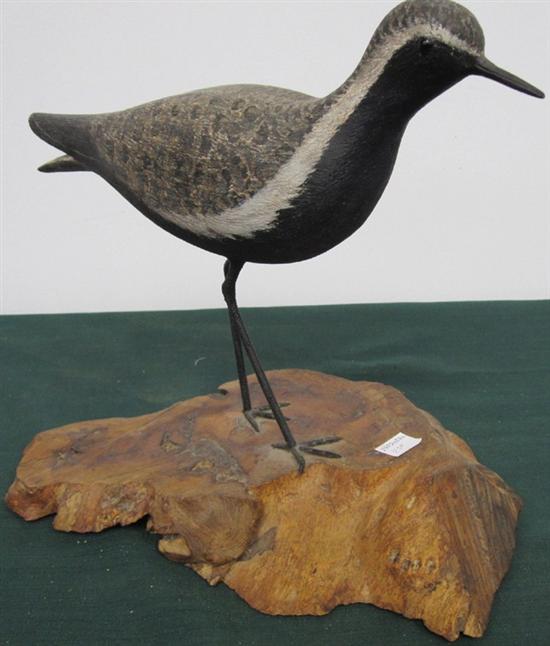 Appraisal: THOMPSON GEORGE W AMERICAN TH C Black-Bellied Plover life-size Signed