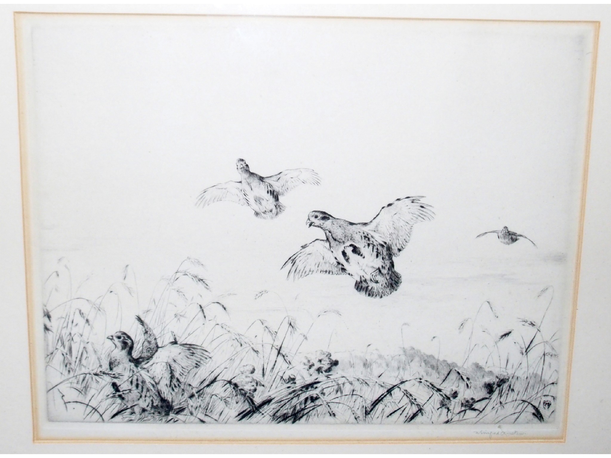 Appraisal: WINIFRED AUSTEN Taking flight signed etching