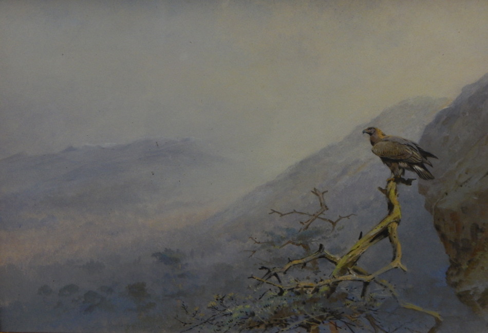 Appraisal: George Edward Lodge - Eagle in mountain landscape watercolour signed