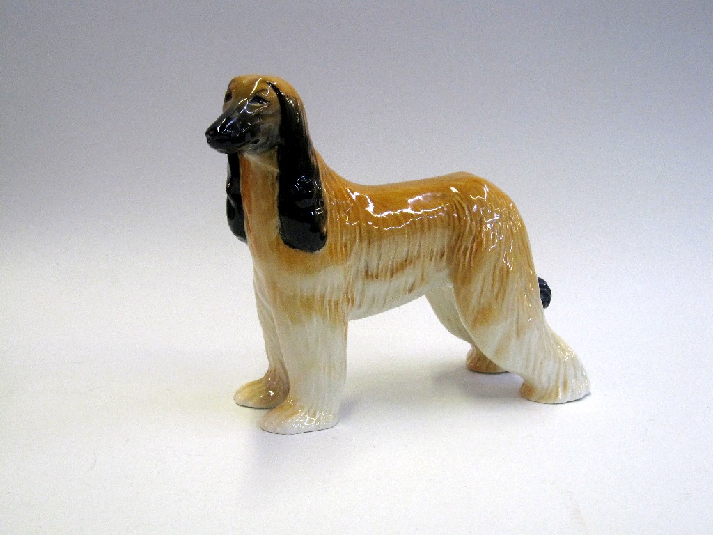 Appraisal: Beswick figure of an Afghan hound 'Haljubah of Davien' model