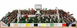 Appraisal: Kevin Ladynski Aussie Rules Football Match mixed media with taxidermied