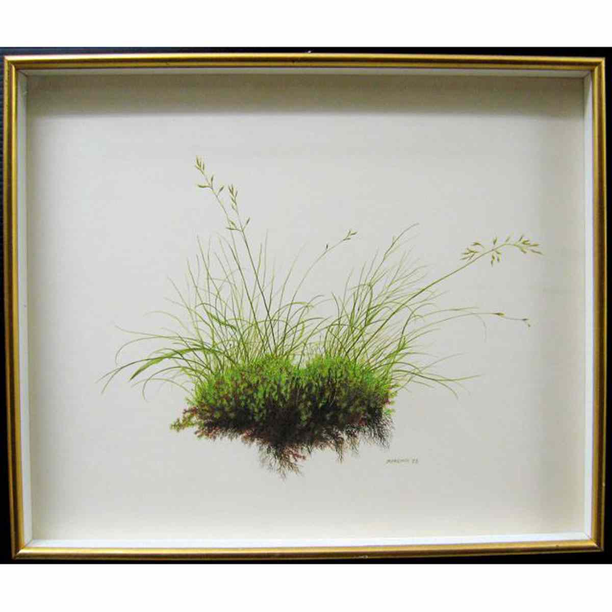 Appraisal: MICHAEL FRENCH CANADIAN - GRASSES WATERCOLOUR SIGNED AND DATED LOWER