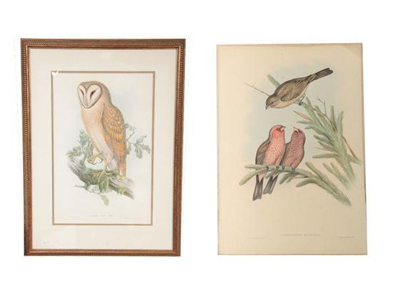 Appraisal: TWO LITHOGRAPHS Both by Gould Richter Carpodacus Rubicilla h w