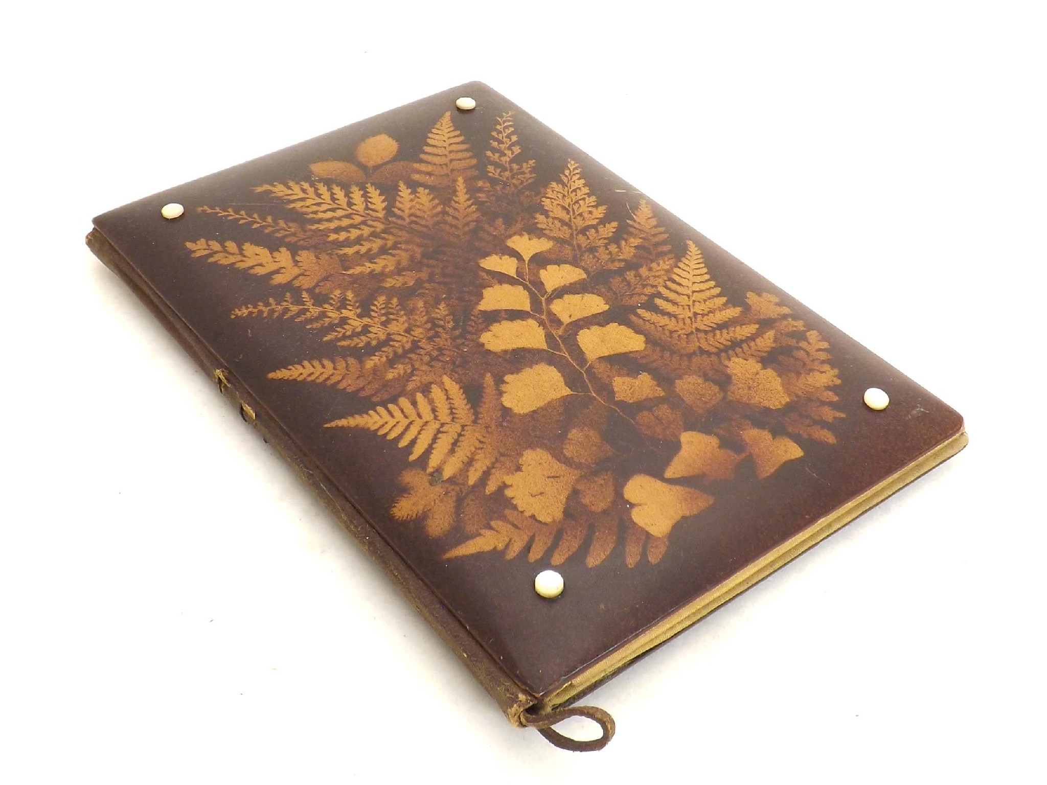 Appraisal: Fern ware - rectangular blotter with mother of pearl studs