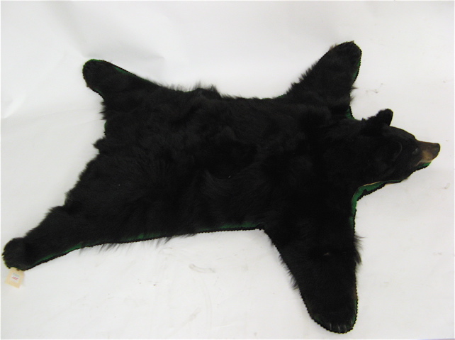 Appraisal: ALASKAN BLACK BEAR SKIN FLOOR RUG mouth closed the tan