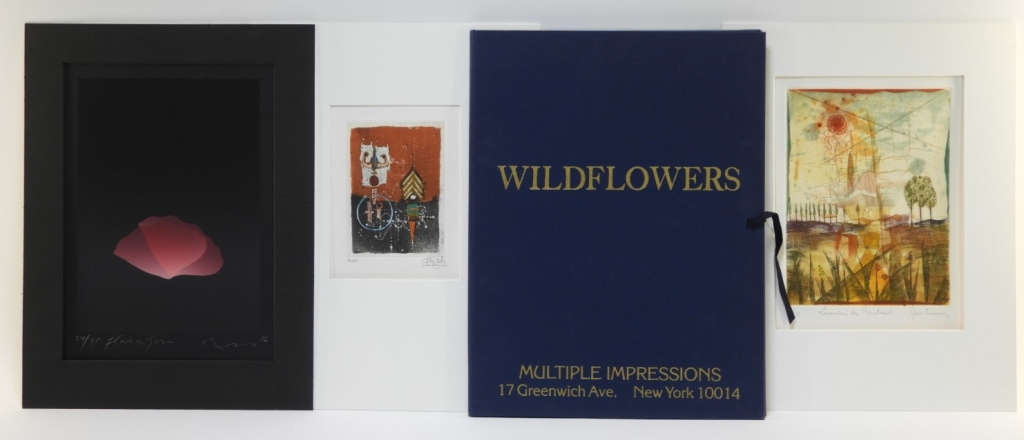 Appraisal: MULTIPLE IMPRESSIONS NY WILDFLOWERS PORTFOLIO New York th CenturyA multi