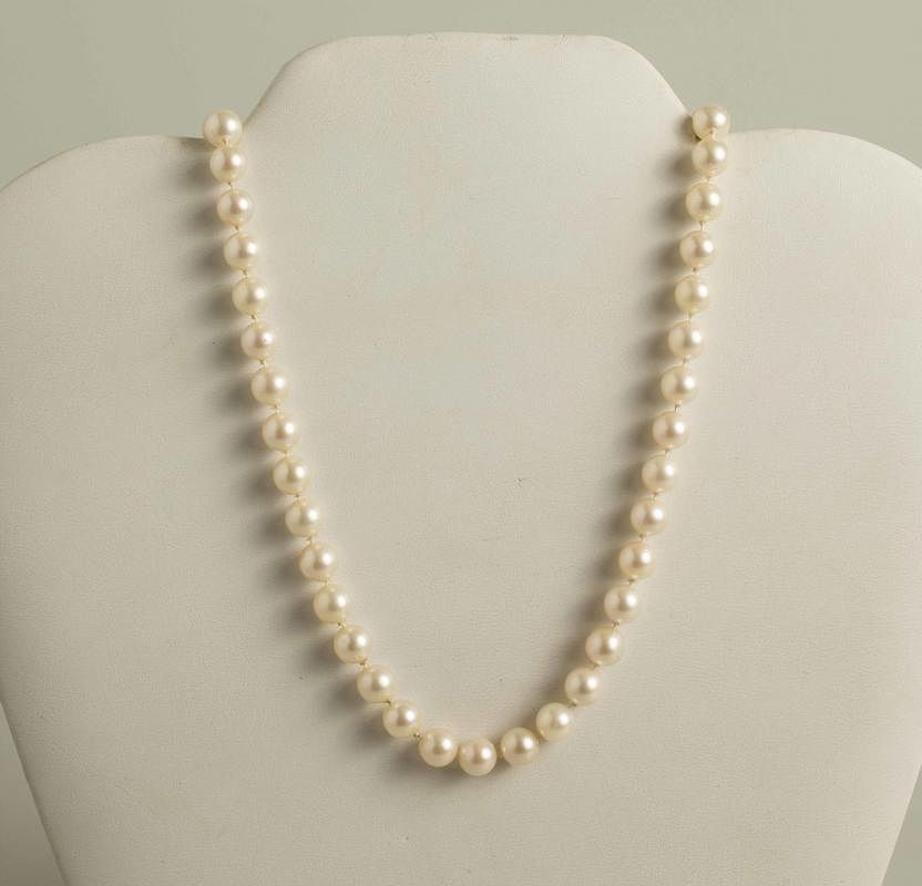 Appraisal: Salt Water Pearl k Necklace Salt water pearl necklace with