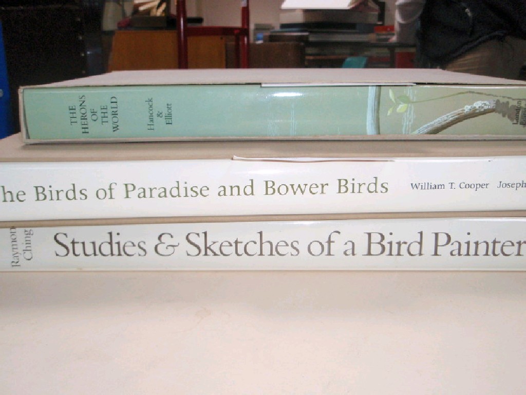 Appraisal: Ching Raymond Studies and Sketches of a Bird Painter Melbourne