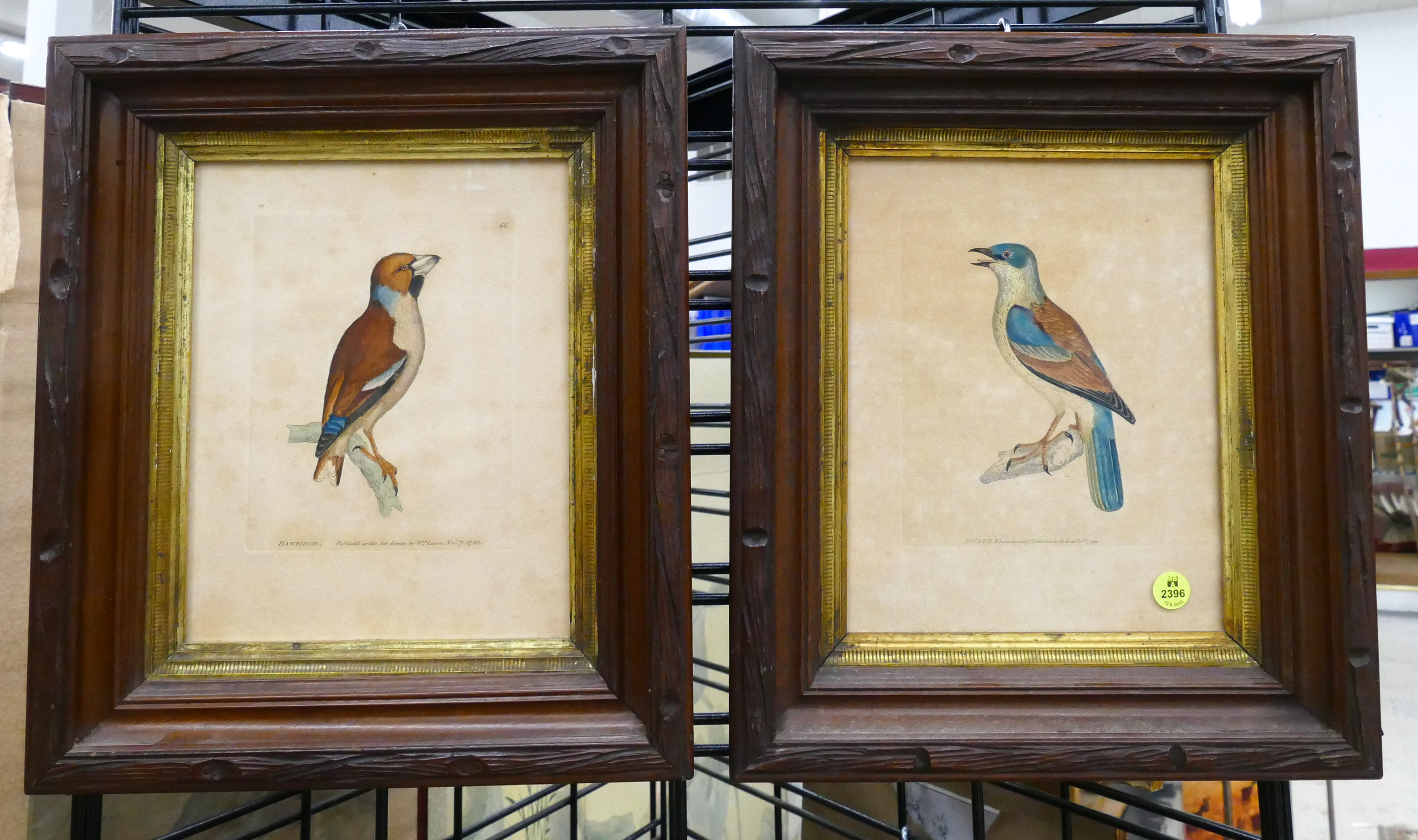 Appraisal: Pair W Levin Antique Bird Engravings Framed- x ''