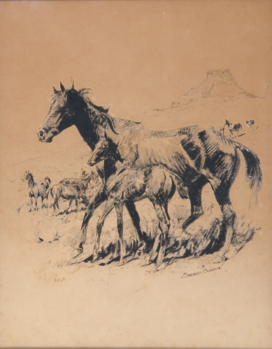 Appraisal: Edward Borein American - Mustang and Foal Ink and gouache