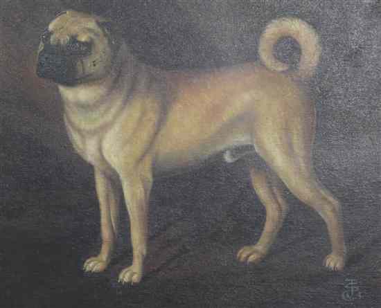 Appraisal: J S oil on canvas Portrait of a Pug dog