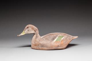 Appraisal: Pintail Hen by Lloyd J Tyler Lloyd J Tyler -