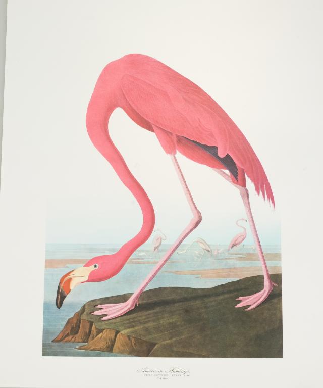 Appraisal: THE AUDUBON FOLIO pub Abrams thirty reproduction prints with text