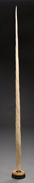 Appraisal: Rare Narwhal Tusk Monodon monoceros Arctic Circle Canada The Narwhal