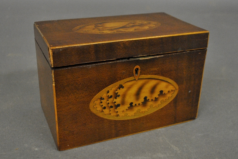 Appraisal: - Georgian mahogany tea caddy c with conch shell inlays