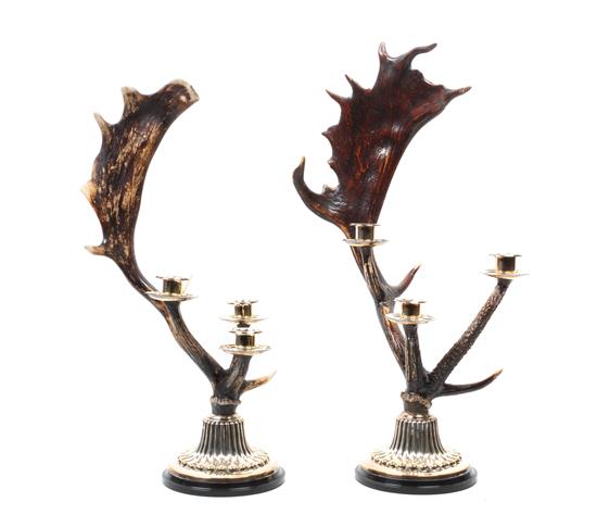 Appraisal: Sale Lot A Pair of English Horn Three Light Candelabra