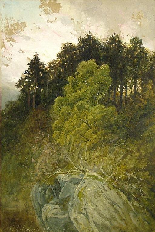 Appraisal: Possibly by George W Aikman - - wooded Highland landscape