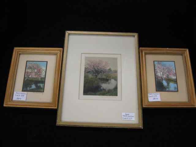 Appraisal: Wallace Nutting Miniature Prints hand-colored all depicting various apple blossom