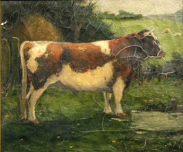 Appraisal: Scottish School A study of a young bull oil on