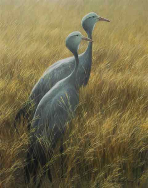 Appraisal: ROBERT BATEMAN CANADIAN BLUE CRANES Chromolithograph x in sight Framed