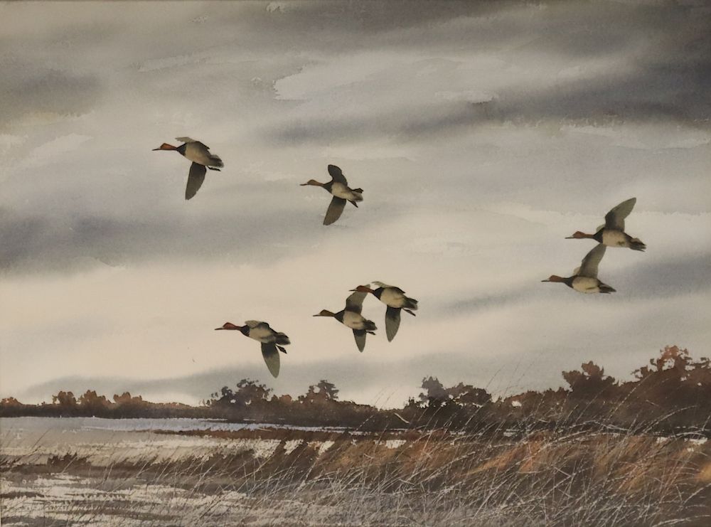 Appraisal: DAVID HAGERBAUMER AMERICAN - Watercolor Ducks in Flight Signed lower