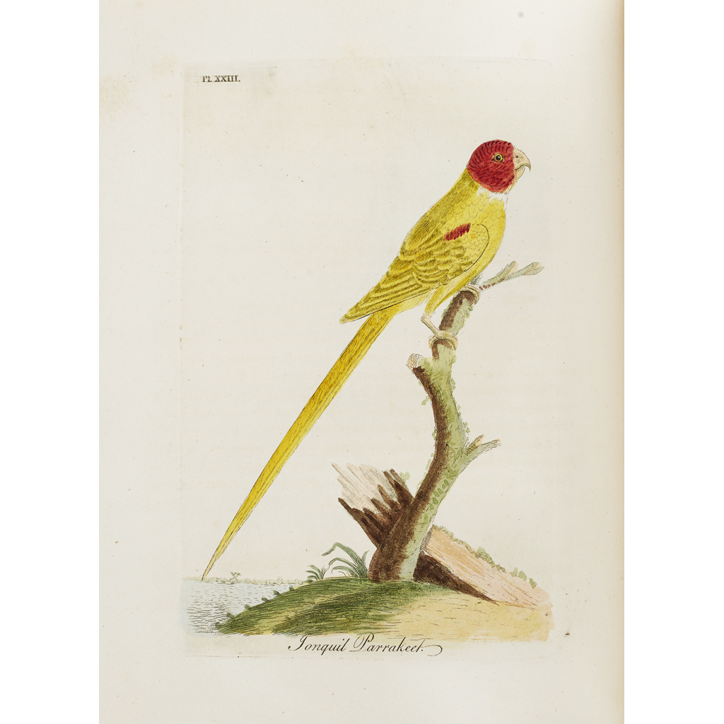 Appraisal: Latham John A General History of Birds Winchester Jacob and