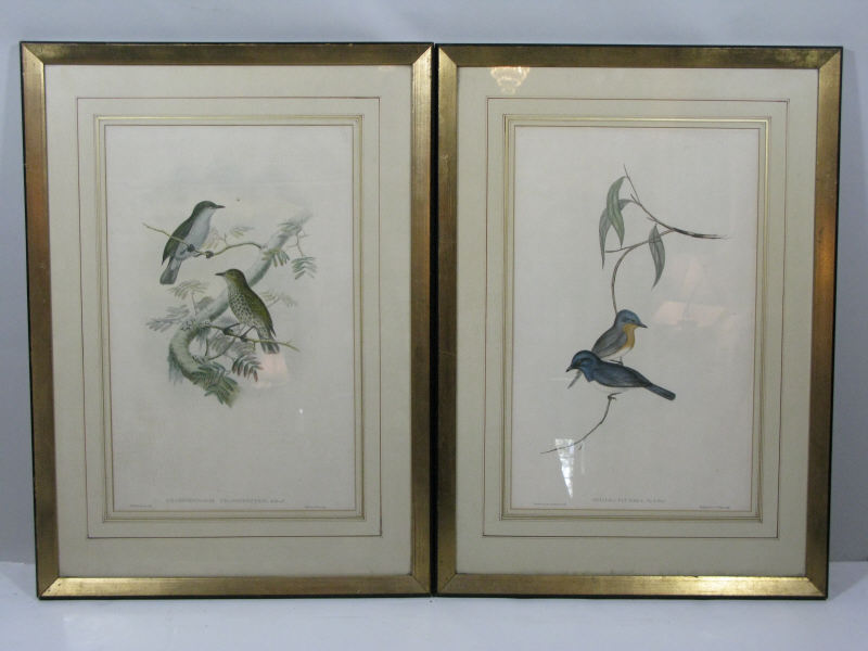 Appraisal: Two Hand Colored Bird Lithographs th c the first by