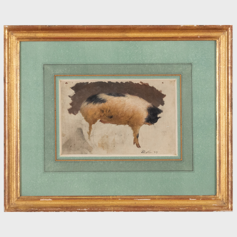 Appraisal: English School Study of a Pig's Body Oil and pencil