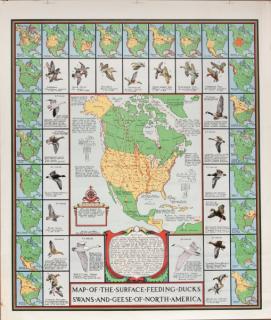 Appraisal: Richard E Bishop - Map of the Surface Feeding Ducks