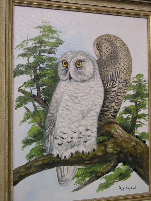 Appraisal: Peter Lynton - pair of oils on canvas two perched