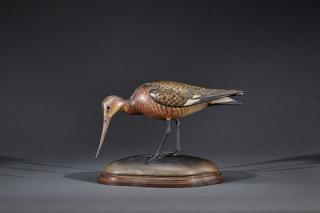 Appraisal: Black-Tailed GodwitWilliam Gibian b Onancock VAA black-tailed godwit carving signed