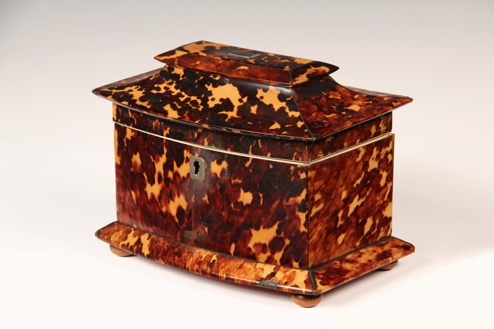 Appraisal: TEA CADDY - Regency Tortoiseshell Tea Caddy with mansard stepped