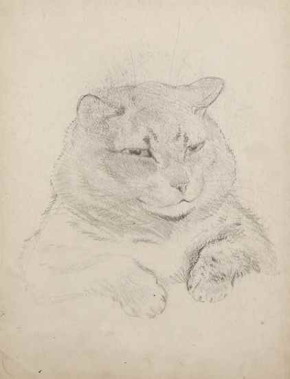 Appraisal: Wain Louis Cat studies pencil drawings on a single sheet