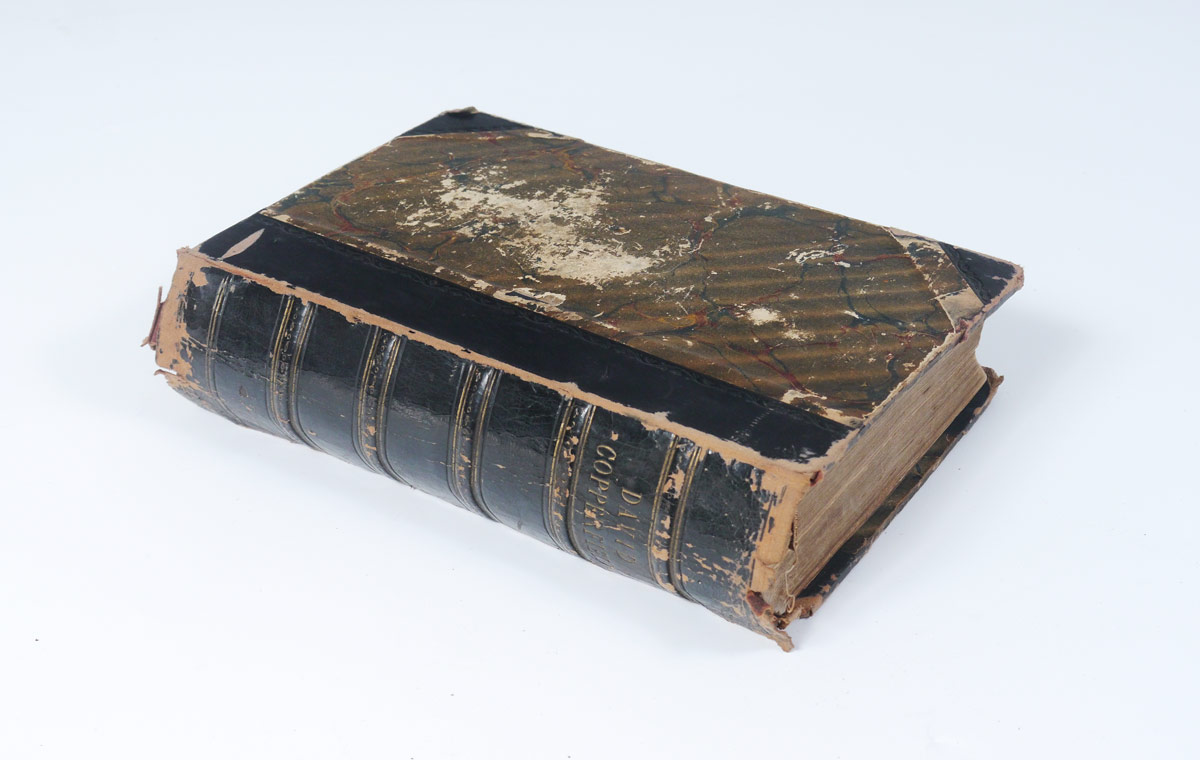 Appraisal: DICKENS Charles British - ''David Copperfield'' first edition published London