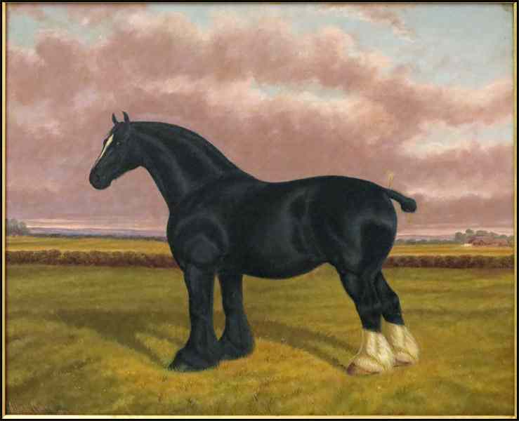 Appraisal: ALBERT CLARK BRITISH - SHIRE HORSE IN FIELD Oil on