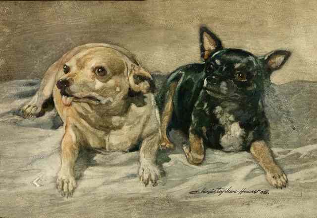 Appraisal: CHRISTOPHER HAW b Two dogs resting on a blanket signed