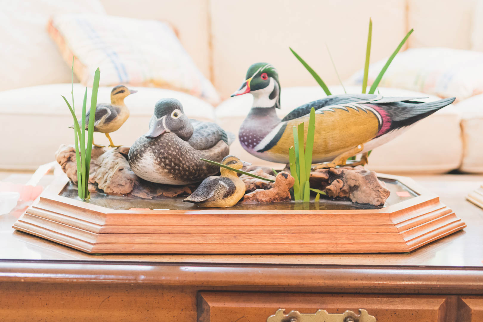 Appraisal: Jim Betty Cumming Wood duck group carved and painted mounted