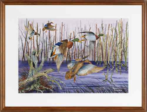 Appraisal: Watercolor on paper of ducks in flight signed Dennis Clevenger