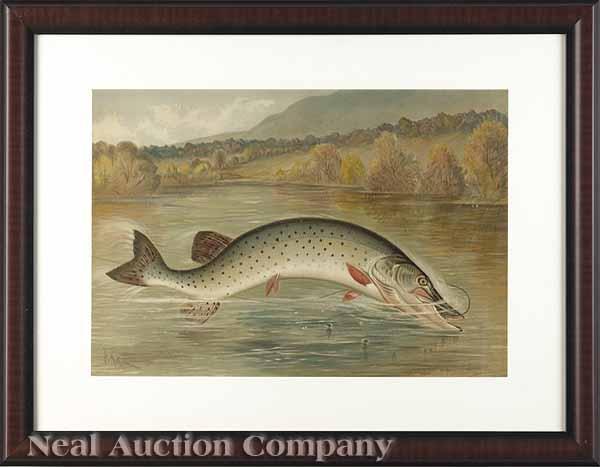 Appraisal: Two Antique Chromolithographs of Game Fish by S A Kilbourne