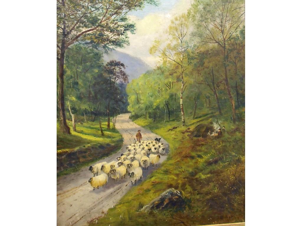 Appraisal: By J Middleton - sheep being ushered down a country