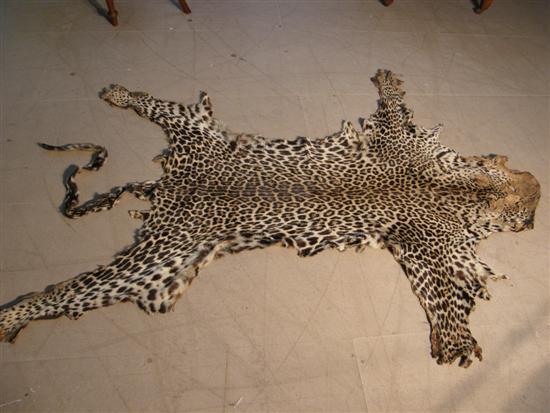 Appraisal: Early th century leopard skin long