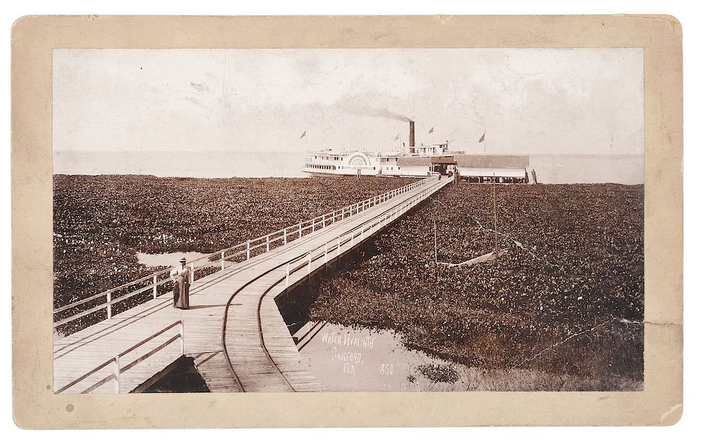 Appraisal: SANFORD Steamship Photograph Antique original photo print x mounted on