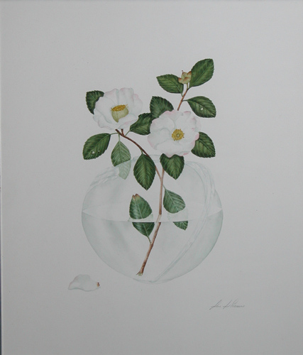 Appraisal: Camilias in a Vase Conneen Mari x inches Watercolor Signed