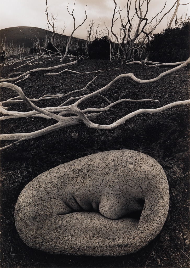 Appraisal: JERRY UELSMANN - Untitled rock figure and driftwood Toned silver