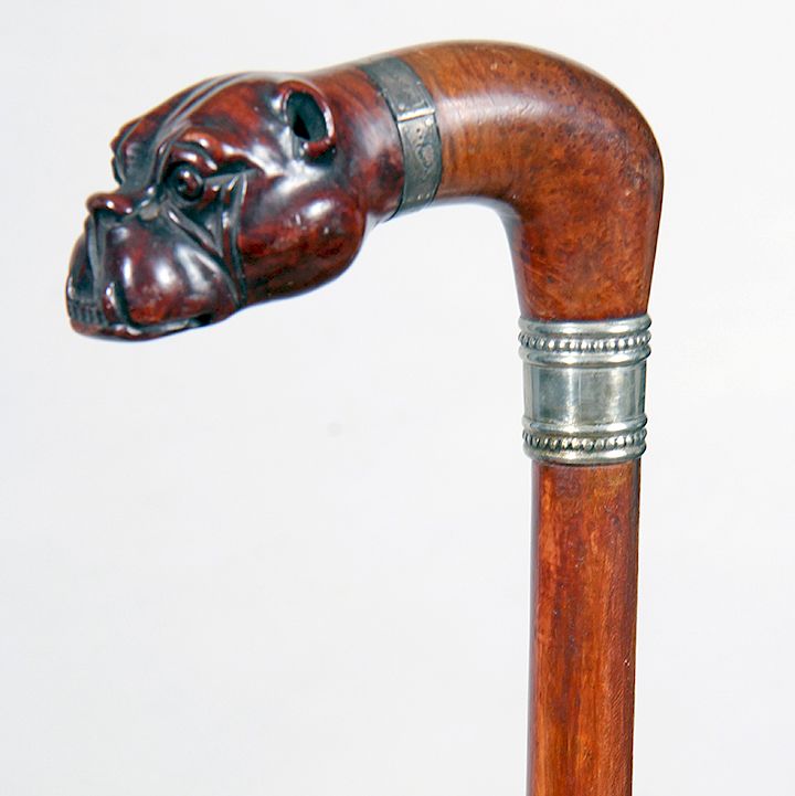 Appraisal: Bulldog Cane Exclusive on Bidsquare Ca - Carved walnut bulldog