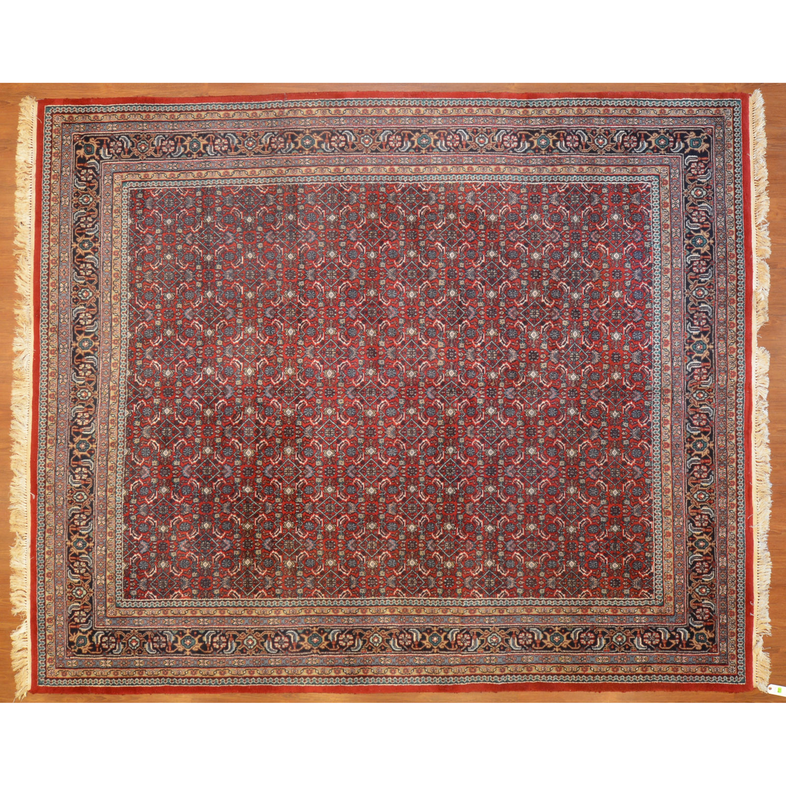 Appraisal: INDO BIJAR RUG INDIA X Fourth quarter- th century hand-knotted